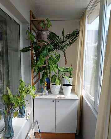 Сдается однушка около парка Гулливер Донецк