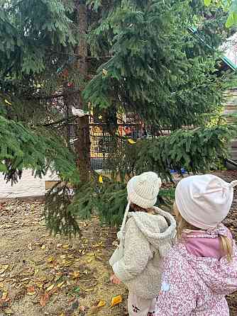 Ассистент педагога в класс 3-6 лет Донецк