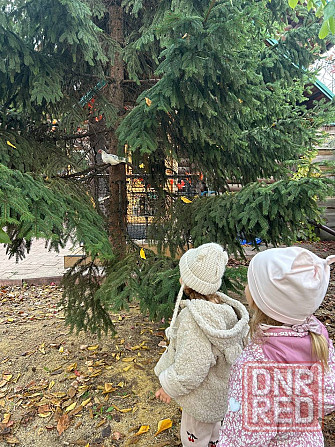 Ассистент педагога в класс 3-6 лет Донецк - изображение 3