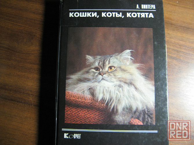 Продам книгу "Кошки, коты, котята" Донецк - изображение 1