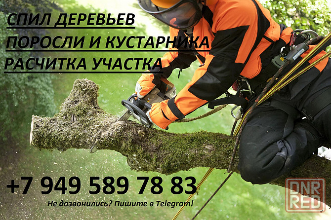 Спил деревьев Макеевка - изображение 1