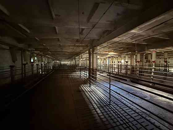 Продажа свинокомплекс полного цикла Донецк