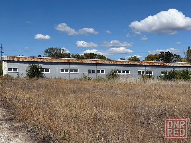 Продажа свинокомплекс полного цикла Донецк - изображение 2