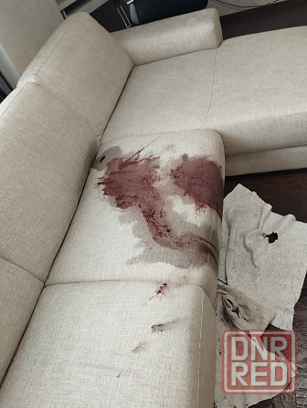 Химчистка мебели Донецк - изображение 1