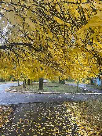 Продам 1 Галактика Донецк