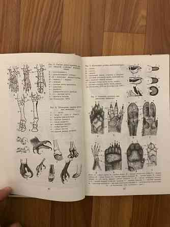 Книга Следы в природе. 1990 год. Донецк