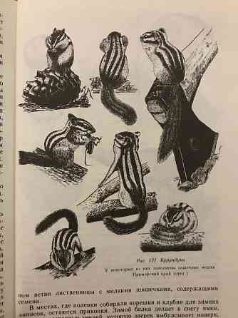 Книга Следы в природе. 1990 год. Донецк