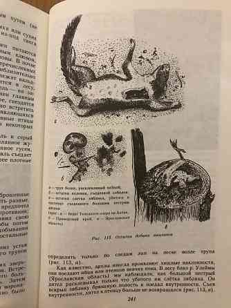 Книга Следы в природе. 1990 год. Донецк