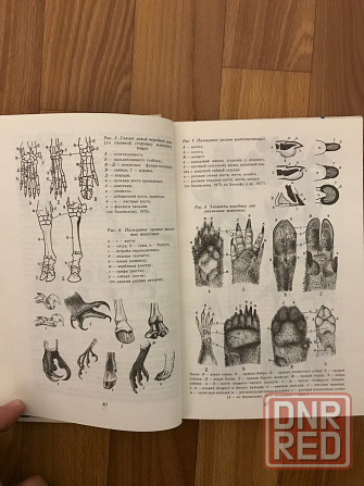 Книга Следы в природе. 1990 год. Донецк - изображение 4