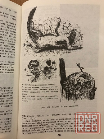 Книга Следы в природе. 1990 год. Донецк - изображение 6