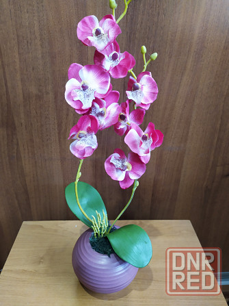 Искусственная орхидея Макеевка - изображение 1