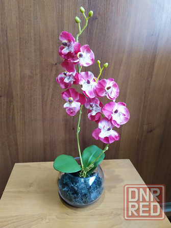 Искусственная орхидея Макеевка - изображение 2