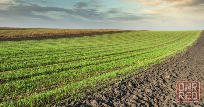 Продается земельный участок Новоазовск - изображение 1