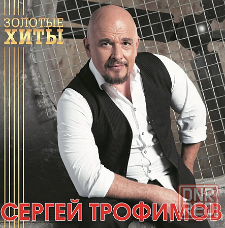 Виниловая пластинка LP "Сергей Трофимов" -"Золотые Хиты" Донецк - изображение 1