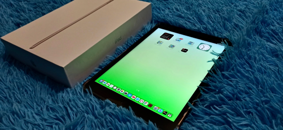 Apple iPad 9 - 64GB - Идеальное состояние Макеевка