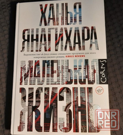 книга маленькая жизнь Волгоград - изображение 1