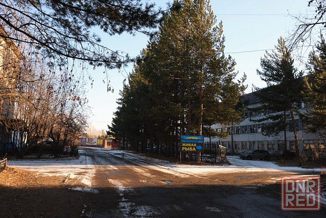 Продаётся здание 3000 м² в Сосновоборске Красноярск - изображение 3
