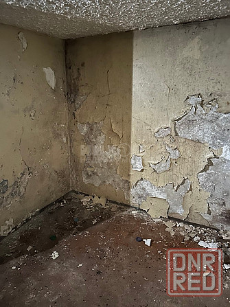 Помещение 25м2 кв. Молодежный рн. Папа Карло Луганск - изображение 2