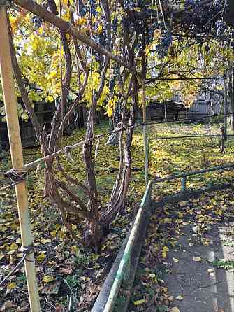 Продам дом в Киевском районе Донецка Донецк