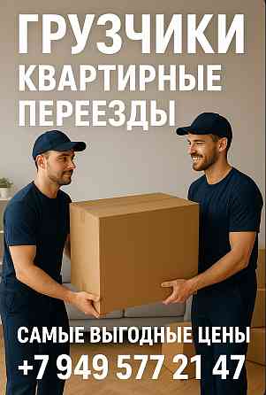 Надёжные грузчики для квартирного переезда в Донецке! Донецк