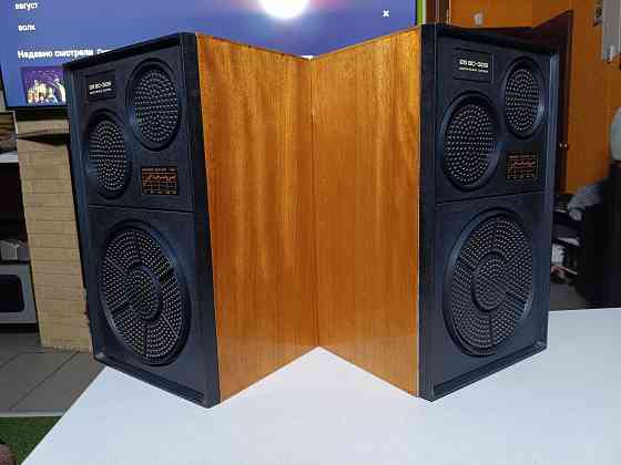 Комплект: Усилитель "Вега"-10У120С и акустика "Вега"- 25АС -309. Донецк