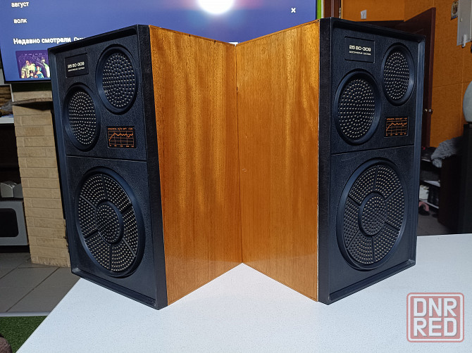 Комплект: Усилитель "Вега"-10У120С и акустика "Вега"- 25АС -309. Донецк - изображение 5