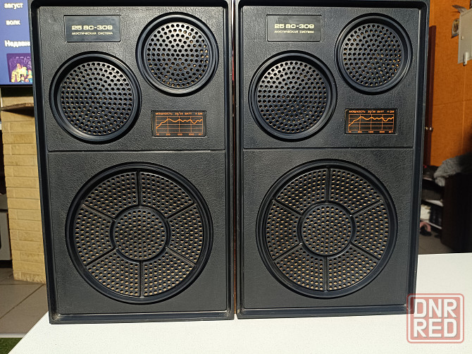 Комплект: Усилитель "Вега"-10У120С и акустика "Вега"- 25АС -309. Донецк - изображение 3