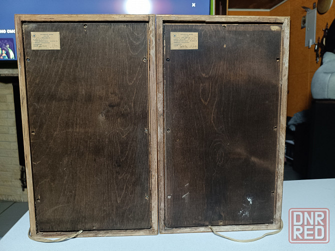 Комплект: Усилитель "Вега"-10У120С и акустика "Вега"- 25АС -309. Донецк - изображение 7