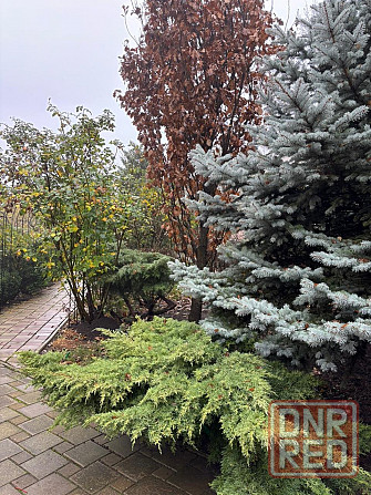 Продам дом в поселке Пивовар Донецк - изображение 1