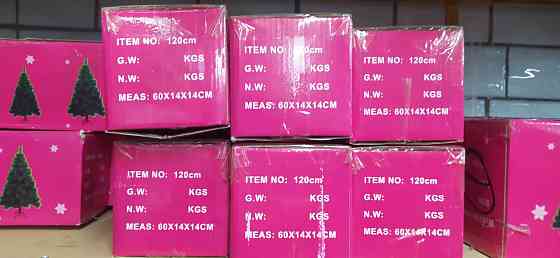 Сосна с белыми кончиками Донецк