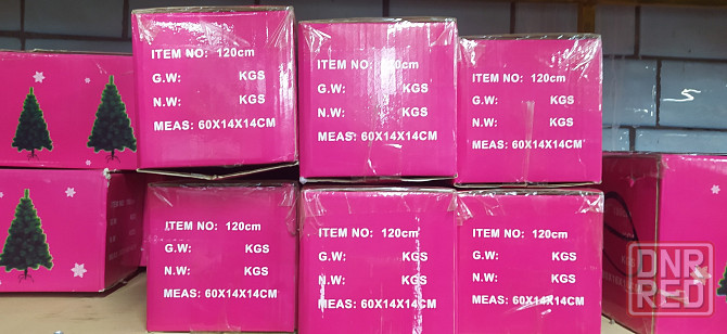 Сосна с белыми кончиками Донецк - изображение 2