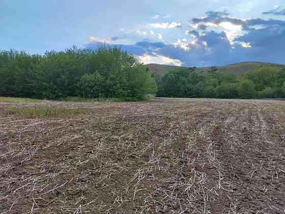 Продаётся земельный участок ( бывшая территория пионерского лагеря), с. Благодатное Амвросиевка