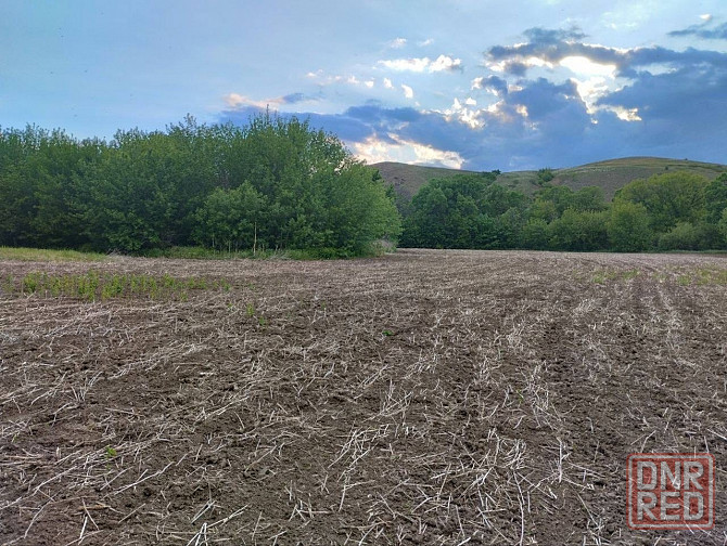 Продаётся земельный участок ( бывшая территория пионерского лагеря), с. Благодатное Амвросиевка - изображение 2