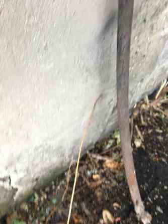 Рессора один лист Донецк