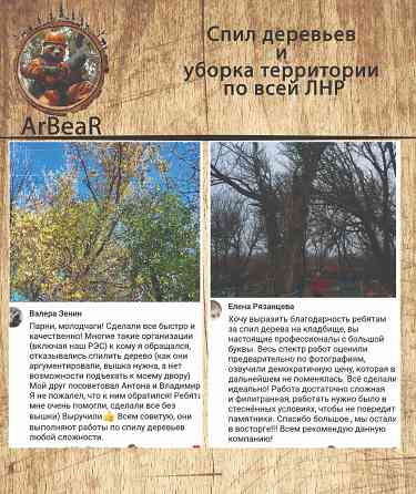 Спил деревьев и уборка территории лнр Красный Луч