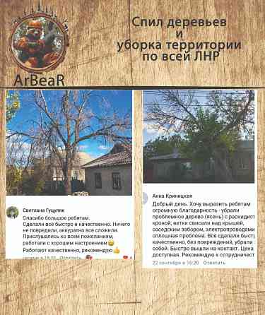 Спил деревьев и уборка территории лнр Красный Луч