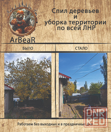 Спил деревьев и уборка территории лнр Красный Луч - изображение 3