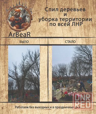Спил деревьев и уборка территории лнр Красный Луч - изображение 2