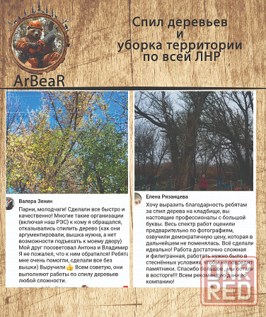 Спил деревьев и уборка территории лнр Красный Луч - изображение 4