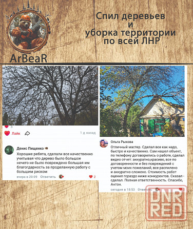 Спил деревьев и уборка территории лнр Красный Луч - изображение 6