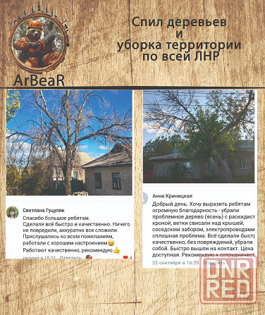 Спил деревьев и уборка территории лнр Красный Луч - изображение 5