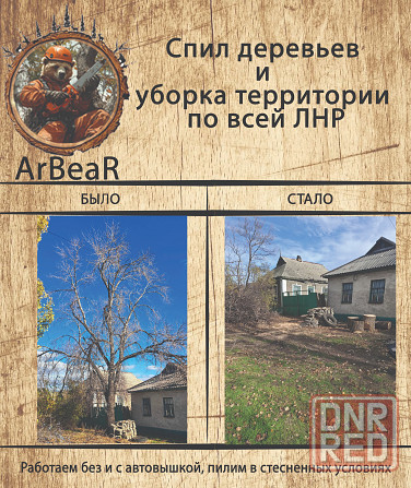 Спил деревьев и уборка территории лнр Красный Луч - изображение 1
