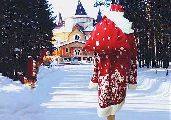 Дед Мороз у Вас дома Донецк