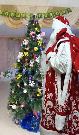 Дед Мороз у Вас дома Донецк