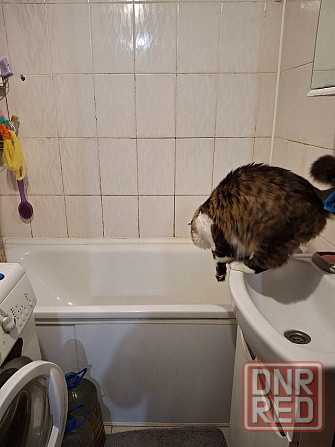 3к на Щетинина Донецк - изображение 4