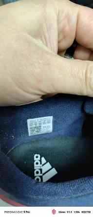 Кроссовки adidas Sportswear Alphabounce + Донецк