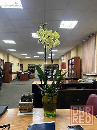 Бульвар Пушкина офис 1000 рублей за метр квадратный Донецк - изображение 1