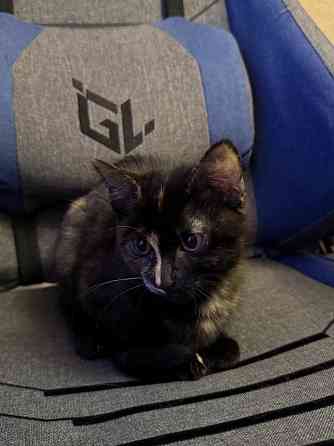 срочно Донецк