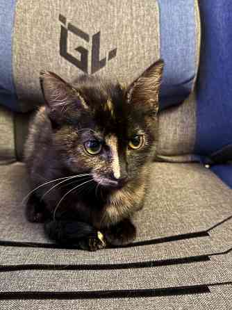 срочно Донецк