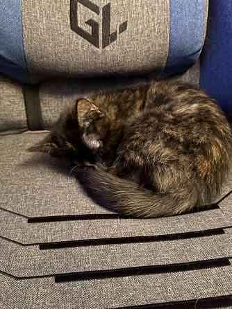 срочно Донецк